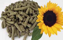 Peculiarities of sunflower meal import to EU countries