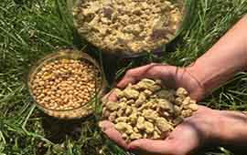 Features of import of soybean meal to EU countries